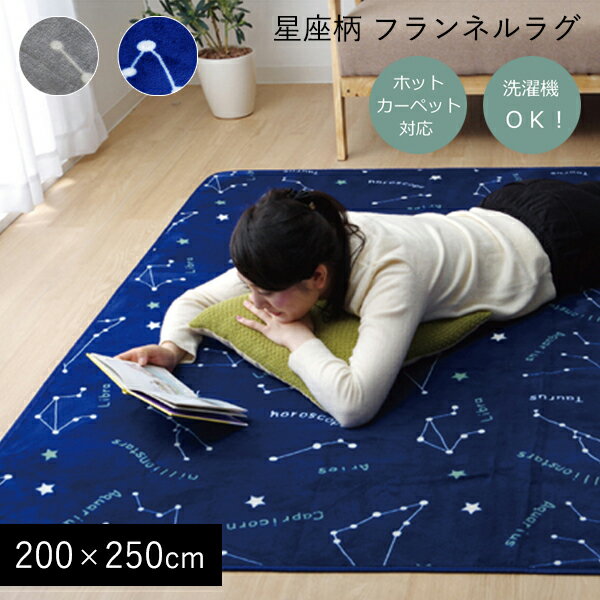 ラグ フランネル 星柄 ホットカーペットカバー 3畳 洗える 200×250 