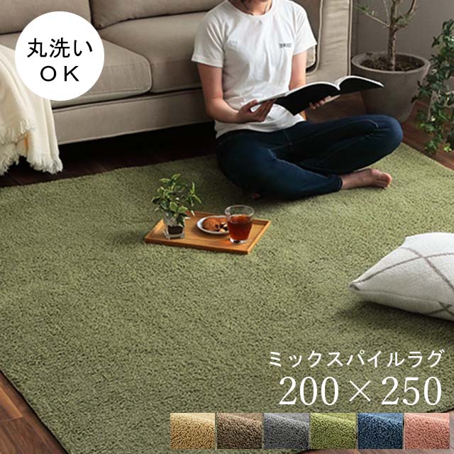洗えるラグ 3畳 ラグ 洗える オールシーズン おしゃれ 200×250cm ラグマット ラグカーペット 洗濯機で洗える ラグ カーペット 洗えるラグマット 一年中使える 長方形 床暖房対応 ホットカーペット対応 年中 ホットカーペット対応ラグ 毛足短い 薄手 3畳マット