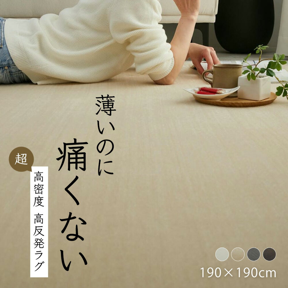 樂天商城 - ラグ カーペット 撥水 滑り止め付き 190×190 [ ラグマット おしゃれ オールシーズン 床暖対応 正方形 薄手 防音 リビング 子供部屋 防音ラグ 防音カーペット 無地 毛足が短い ウレタン 入り アイボリー ベージュ グレー マイクロファイバー 毛足短い 絨毯 一年中使える ]