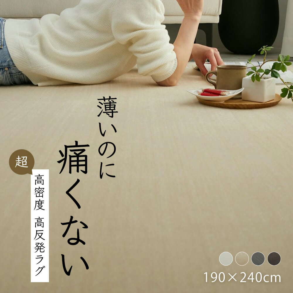 樂天商城 - ラグ カーペット 撥水 滑り止め付き 190×240 [ ラグマット おしゃれ オールシーズン 床暖対応 長方形 薄手 防音 リビング 子供部屋 防音ラグ 防音カーペット 無地 毛足が短い 撥水ラグマット 撥水カーペット 汚れにくい 毛足短い 絨毯 一年中使える ]