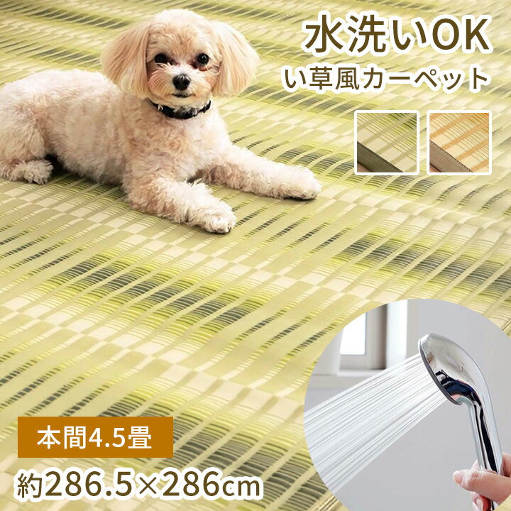 　商品説明 日本製 洗えるカーペット 丈夫で汚れに強い素材のポリプロピレンを使用。 い草ラグのように織り上げて作ります。 ゴミやペットの毛が絡まりにくく、汚れても簡単に拭き取れるので清潔です。 汚れが気になるときは、水洗いができるので安心。...