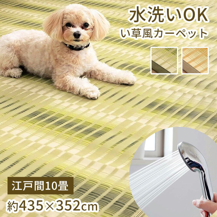 樂天商城 - い草風カーペット 江戸間 10畳 約435×352cm [ い草風 ラグ ppラグ 江戸間10畳 畳 上敷き おしゃれ 洗える 撥水 和室 カーペット 畳上敷き ペット 保護 敷き詰め ppカーペット pp 花ござ 畳の上に敷くカーペット 畳の上に敷くもの 畳の上に敷く マット 畳カバー ]