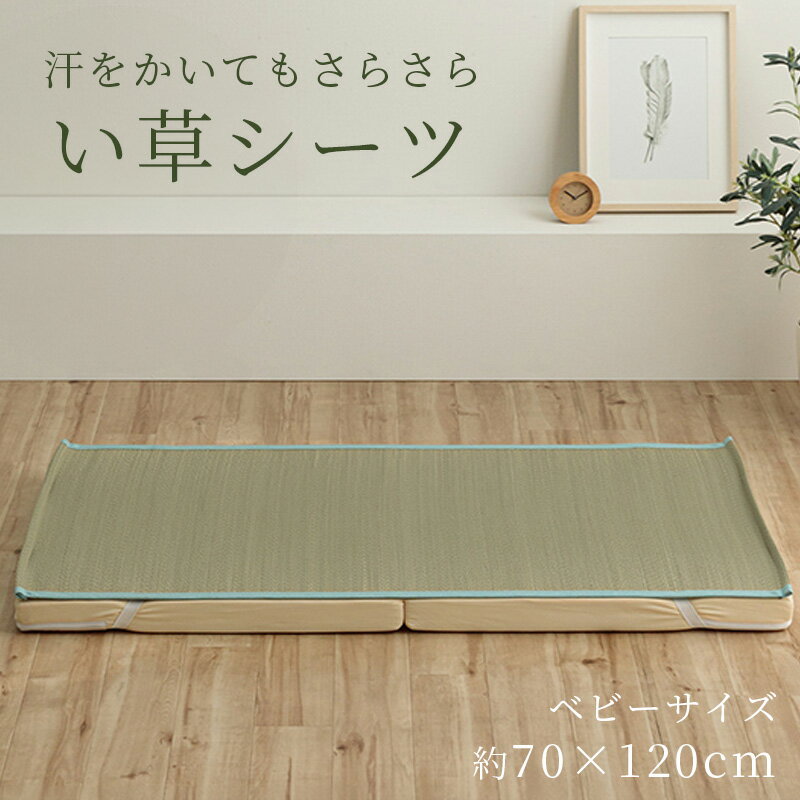 Rakuten - い草シーツ ベビーサイズ [ いぐさシーツ 寝ござ 子供 保育園 赤ちゃん ベビー 国産 い草 シーツ 敷きパッド 寝ござマット ねござ い草ござ 茣蓙 夏用 涼しい 夏用シーツ 寝具 敷パッド 井草 い草マット ベッドシーツ 敷布団カバー 四隅 ゴム ゴムバンド ゴム付き ]