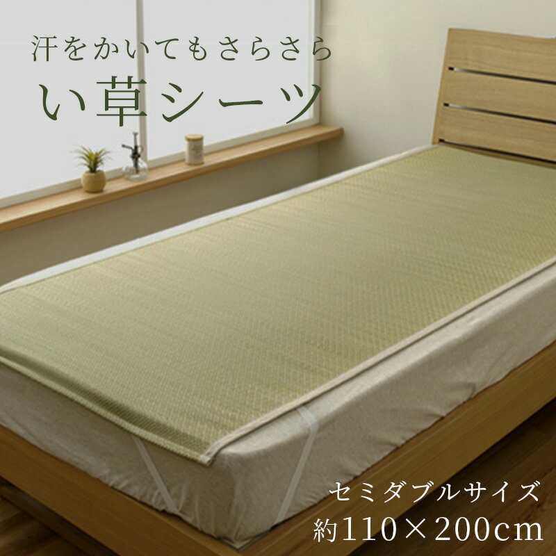楽天市場】寝ござ セミダブル（インテリア・寝具・収納）の通販