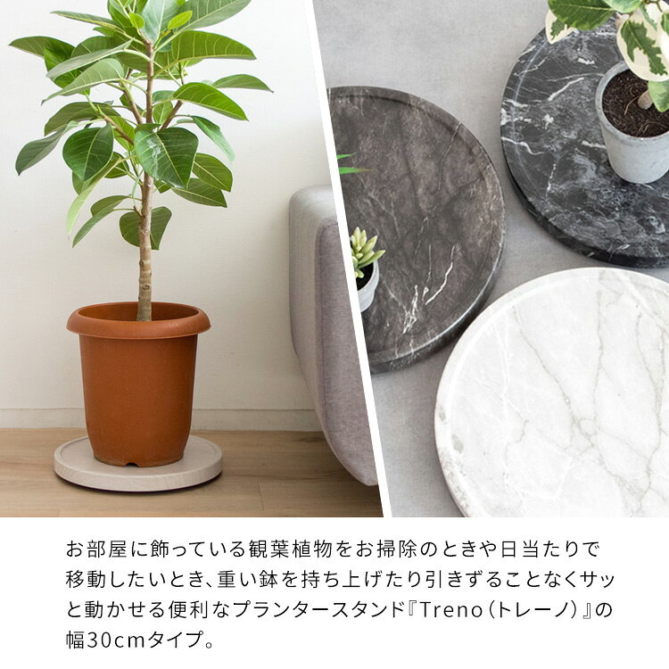 キャスター付き プランタースタンド 室内 直径30cm [ おしゃれ 観葉植物 移動 キャスター 台 扇風機 キャスター付き台 植木鉢 植木鉢台 プランターベース 花台 丸 丸型 円形 鉢 受け皿 キャスター 家電 台車 観葉植物台車 加湿器 キャスター付き台車 木目 大理石 平台車 ] [3]