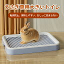 【送料無料】うさぎ トイレ 大きい すのこ付き 四角 チンチラ ウサギ フラットトイレ ウサギ用品 モルモット 小動物用 トイレトレーニングに最適 おしゃれ 段差低い 掃除簡単 清潔 お手入れラクラク 全4色 25*19*3cm