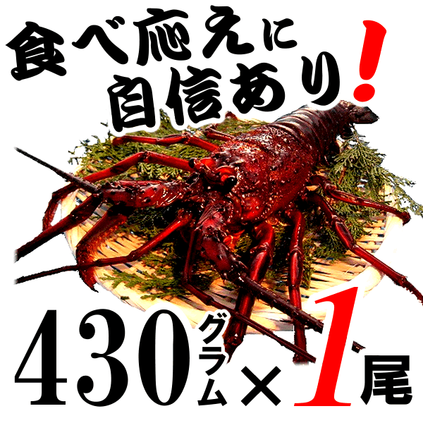 全国お取り寄せグルメ食品ランキング[車エビ(61～90位)]第83位