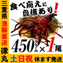 三重県産【あす楽対応/即納】活伊勢海老【450g程度×1尾】...
