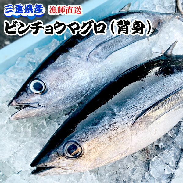 【土日祝日も営業】冷凍 天然ビンチョウマグロ （ビンナガ、トンボ）【 背身1300〜1500g 】三重県産 律丸 お刺身に！切り分けるだけ 鮪/びんちょうまぐろ 【楽ギフ_のし宛書】05P05Dec15