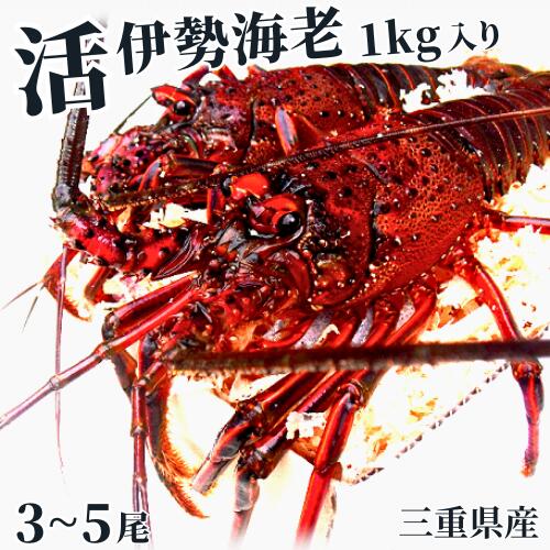 ڴĶȡޤȯ£ѡˤ Ÿ Ϸڥޤ 135ˡ۵ľ Χݡ///...