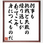 バックミンスター・フラーの名言「何事も挑戦と失敗の繰り返しがあってこそ、身につくものだ」額付き書道色紙／受注後直筆（バックミンスター・フラー 名言 偉人 座右の銘 壁掛け 贈り物 プレゼント 故事成語 諺 格言 有名人 人気 おすすめ）