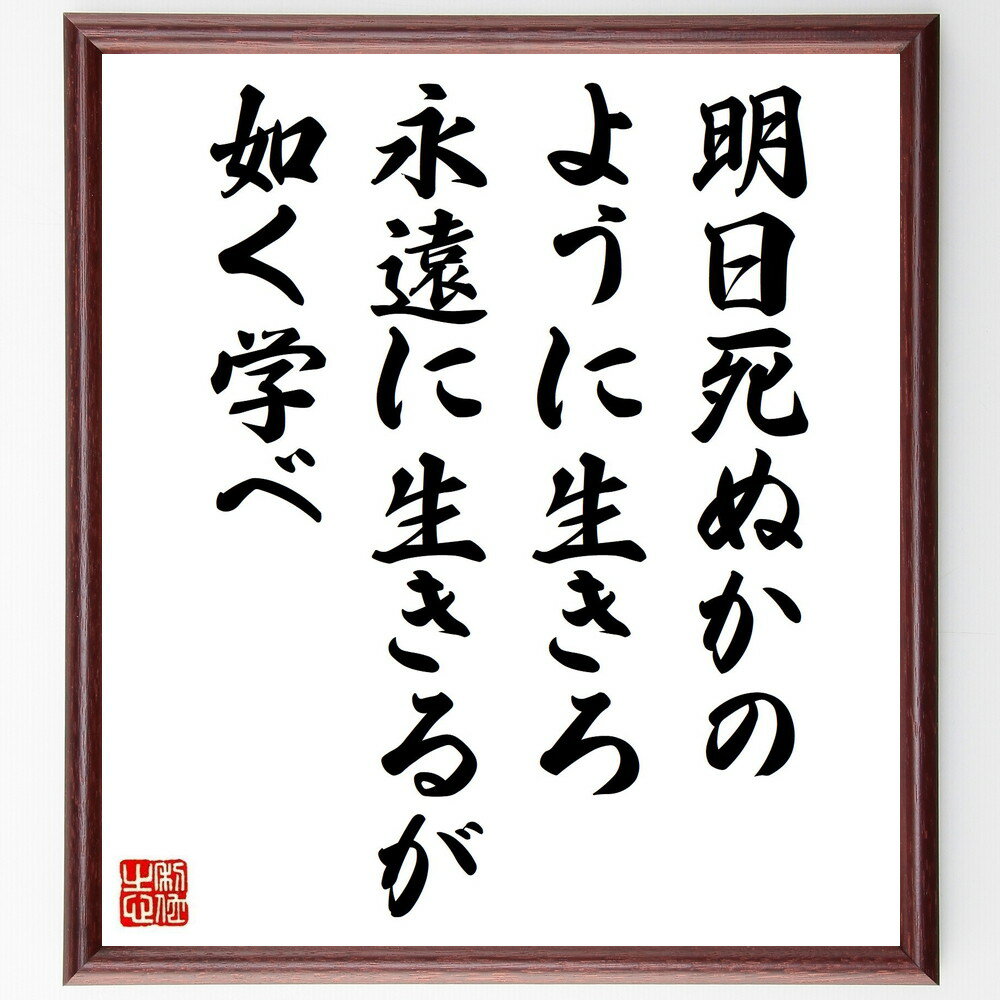 ガンディー（ガンジー）の名言「明日死ぬかのように生きろ、永遠に生きるが如く学べ」手書き書道色紙額／受注後の毛筆直筆（ガンディー 名言 生き方 学び 人生観 哲学 時間の使い方 自己成長 意義のある生き方 教育 ガンディー ガンジー 名言 ～