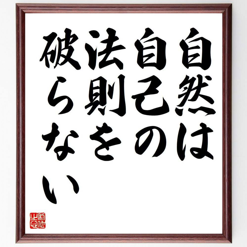 レオナルド・ダ・ヴィンチの名言「自然は自己の法則を破らない」額付き書道色紙／受注後直筆（名言 レオナルド・ダ・ヴィンチ グッズ 偉人 座右の銘 壁掛け 贈り物 プレゼント 故事成語 諺 格言 有名人 人気 おすすめ）