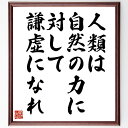 名言「人類は自然の力に対して謙虚になれ」手書き書道色紙額/受注後の毛筆直筆(ワンガリ・マータイ 名言 自然 謙虚さ 環境保護 持続可能性 人類 リーダーシップ 社会貢献 意識 ワンガリ・マータイ 名言 格言 座右の銘 プレゼント 贈り物 ~