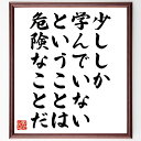 名言「少ししか学んでいないということは危険なことだ」手書き書道色紙額/受注後の毛筆直筆(学び 知識 教育 自己啓発 成長 危険性 情報収集 スキルアップ 自己改善 探求心 名言 格言 座右の銘 プレゼント 贈り物 お祝い 偉人 グッズ 心に~