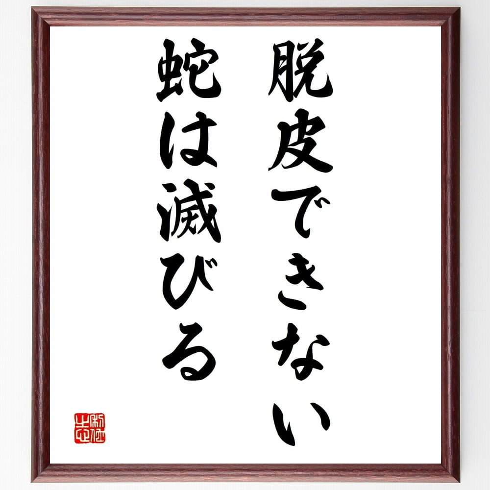 ニーチェの名言「脱皮できない蛇は滅びる」額付き書道色紙／受注後直筆（ニーチェ 名言 グッズ 偉人 座右の銘 壁掛け 贈り物 プレゼント 故事成語 諺 格言 有名人 人気 おすすめ）