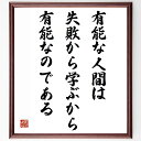 名言「有能な人間は失敗から学ぶから有能なのである」手書き書道色紙額/受注後の毛筆直筆(失敗 学び 成功 成長 自己啓発 挑戦 経験 インスピレーション ウィリアム・サローヤン 名言 格言 座右の銘 プレゼント 贈り物 お祝い 偉人 グッズ ~