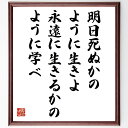 ガンディー(ガンジー)の名言「明日死ぬかのように生きよ、永遠に生きるかのように学べ」手書き書道色紙額/受注後の毛筆直筆(生き方 学び ガンディー 名言 人生観 ...