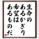セルバンテスの名言「生命のあるかぎり、希望はあるものだ」手書き書道色紙額/受注後の毛筆直筆(希望 人生 ポジティブ思考 名言 セルバンテス 逆境 生きる力 モチ...