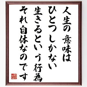 名言「人生の意味はひとつしかない、生きるという行為、それ自体なのです」手書き書道色紙額/受注後の毛筆直筆(生きることの価値 名言 存在意義 哲学 自己探求 幸せ 心の平和 人生観 エーリヒ・フロム 名言 格言 座右の銘 プレゼント 贈り物 お祝い~