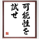 名言「可能性を試せ」手書き書道色紙額/受注後の毛筆直筆(挑戦 成長 自己発見 限界突破 新しい経験 冒険 リスク 成功 失敗 学び 名言 格言 座右の銘 プレゼ...