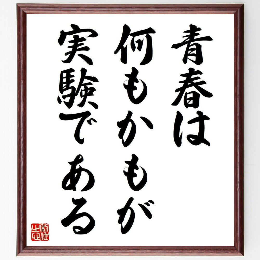 ジョージ・スチーブンソンの名言「青春は何もかもが実験である」手書き書道色紙額/受注後の毛筆直筆(青春 実験 挑戦 学び 成長 経験 自由 冒険 創造性 未来 ジ...