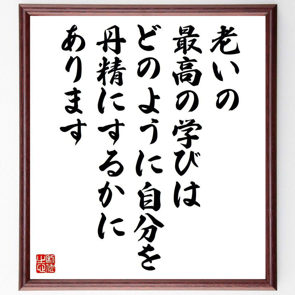 名言「老いの最高の学びは、どのように自分を丹精にするかにあります」手書き書道色紙額/受注後の毛筆直筆(老い 自己成長 人生の知恵 名言 自己管理 心の豊かさ 成...