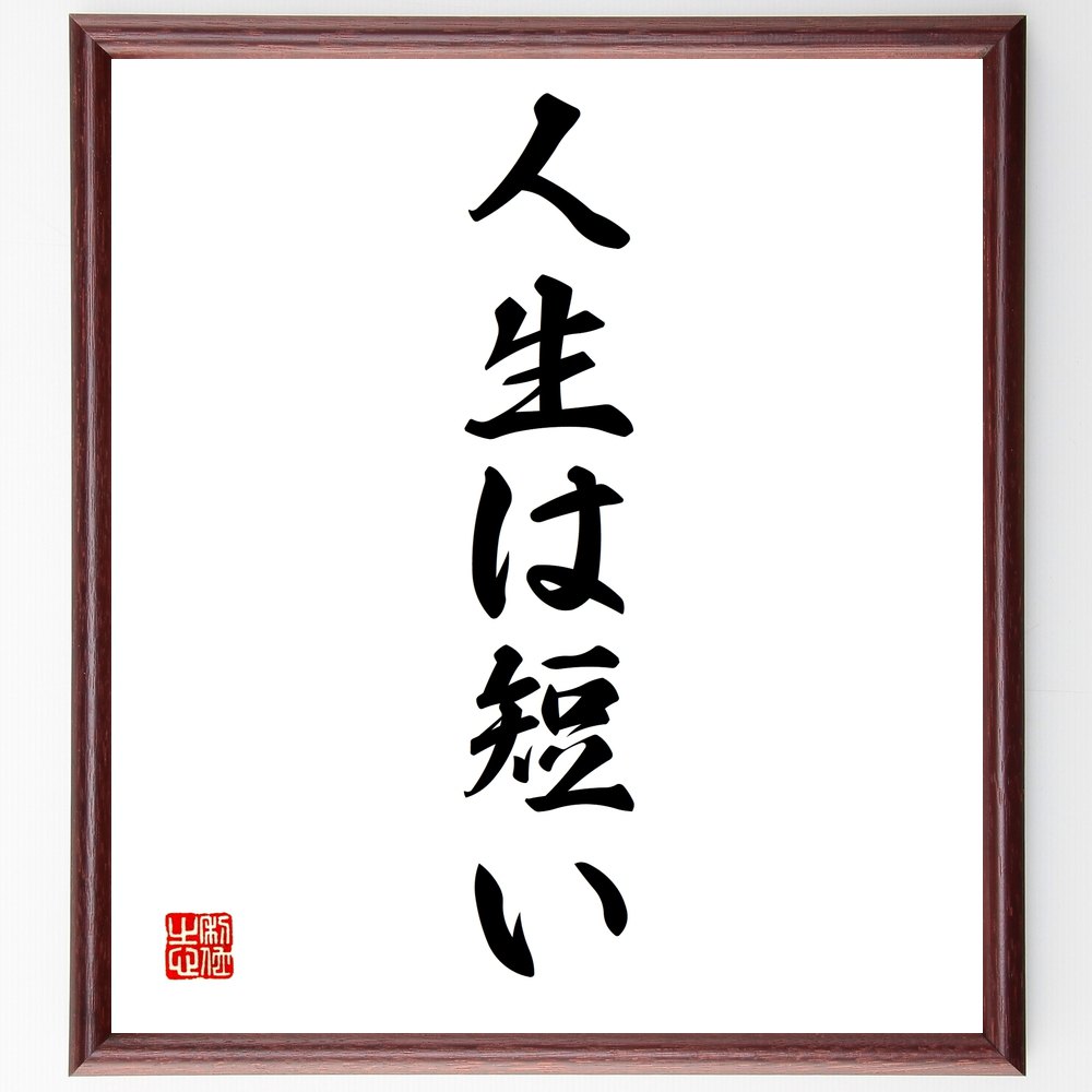 名言「人生は短い」手書き書道色紙額/受注後の毛筆直筆(時間の大切さ 人生の意味 生き方 後悔しない 充実した人生 目標設定 自己実現 価値観 人生哲学 瞬間を楽...