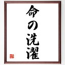 名言「命の洗濯」手書き書道色紙額/受注後の毛筆直筆(リフレッシュ ストレス解消 心の健康 休暇 自然 癒し メンタルヘルス リラックス 生活の質 自己ケア 名言...
