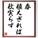 名言「春植えざれば秋実らず」手書き書道色紙額/受注後の毛筆直筆(名言 努力 時間管理 成果 日本のことわざ 計画 成長 自己啓発 教訓 名言 格言 座右の銘 プレゼント 贈り物 お祝い 偉人 グッズ 心に響く 短い アニメ 壁掛け 書道 習字~