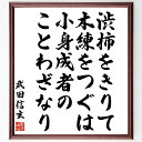 武田信玄の名言「渋柿をきりて木練をつぐは、小身成者のことわざなり」手書き書道色紙額/受注後の毛筆直筆(知恵 信玄の教訓 名言の意味 人生の教訓 小さな努力 成長...