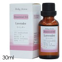 アロマオイル 精油 【デイリーアロマ エッセンシャルオイル ラベンダー 30ml】大容量 アロマ フローラル ハーブ アロマディフューザー