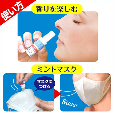鼻 爽快【ネコポス対応】【ノーズミント(NOSEMINT)】【あす楽対応】【楽ギフ_包装選択】TVで話題の商品!!