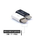 【2点セット】usb type-c 変換アダプター microUSB to Type-C 変換 充電器 イヤホン タイプC 変換アダプタ Lightning