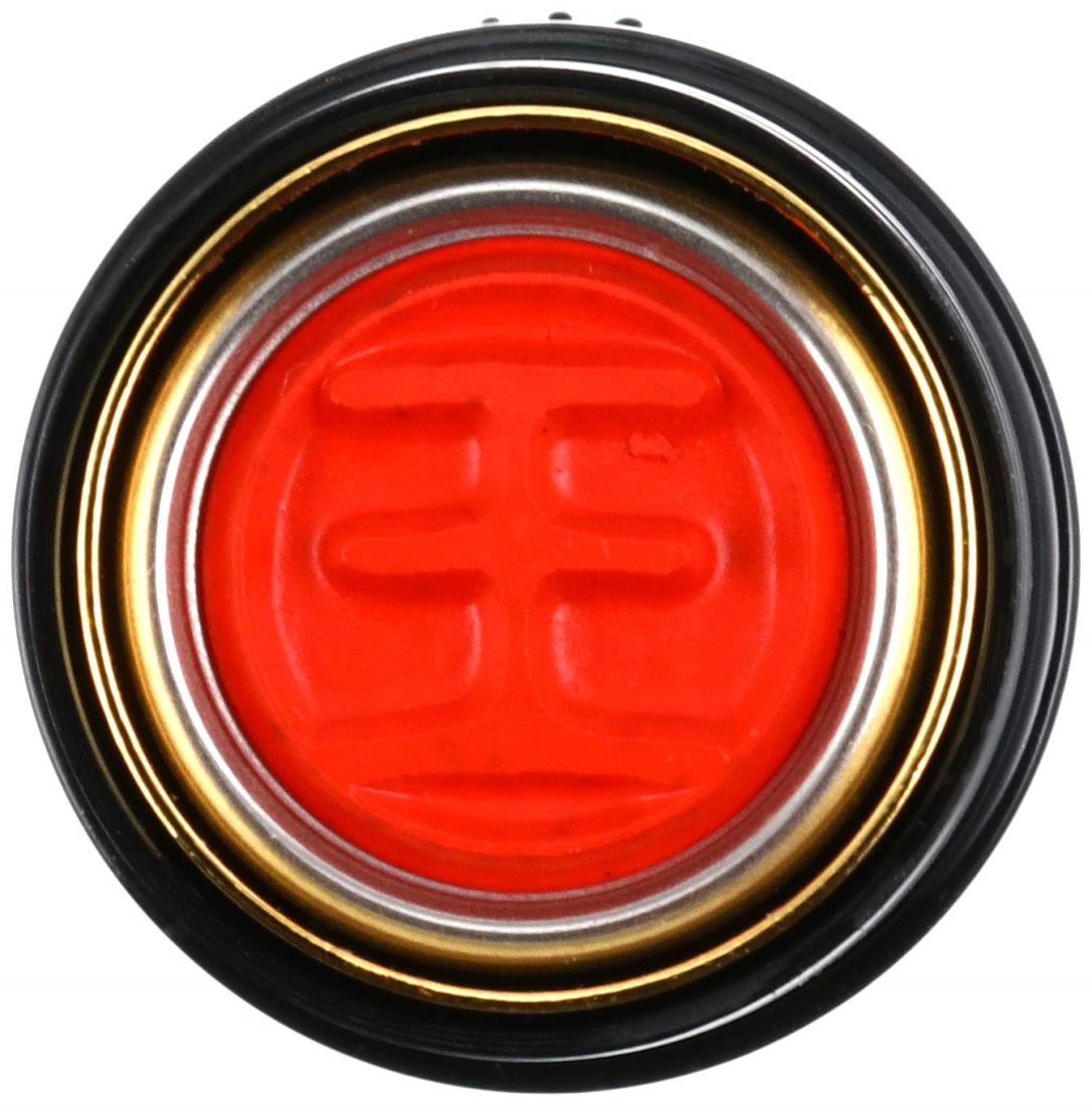 サンビー 印鑑 ハンコ クイック10 中国 韓国姓 王 QTKC-001 ブラック