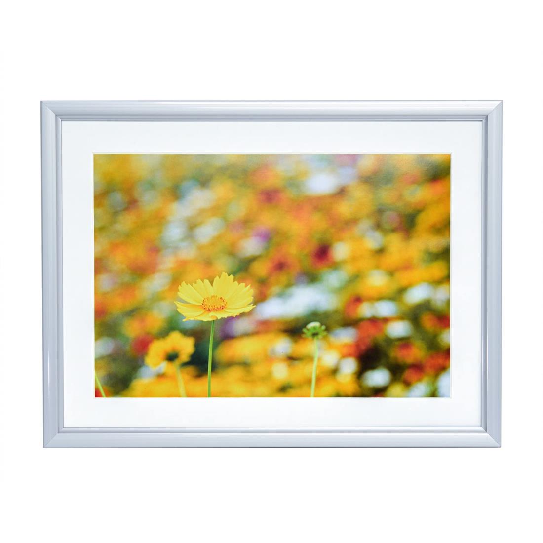 FUJICOLOR アルミ額縁 A32 A4 シルバー 306686