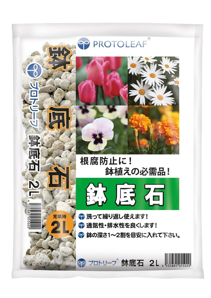 ꥦɥ㤨֥ץȥ꡼ ȭ 2åȥ 055020 СפβǤʤ557ߤˤʤޤ