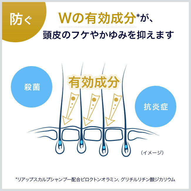 サンプル画像3