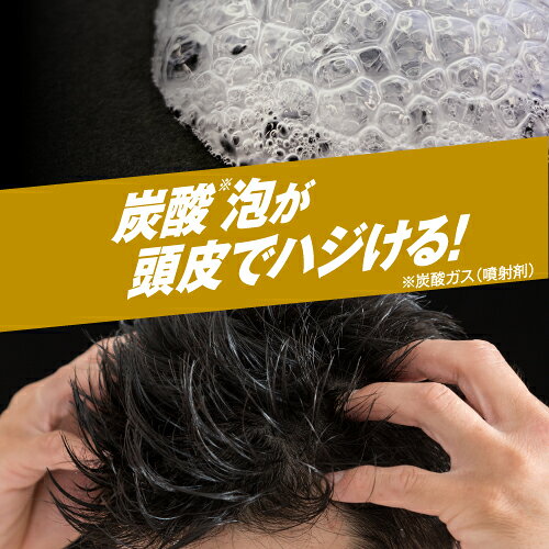 フレッシュリアップ ホグスパ HOGSPA バブルスパーク(135g) リアップ トニック 男性用 育毛 育毛剤 抜け毛 かゆみ riup-10000229 リアップ公認ショップ サンプル画像3