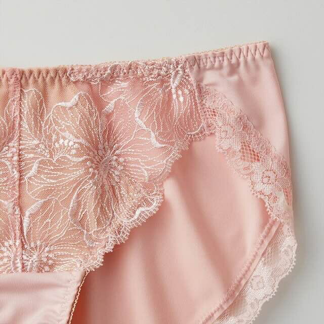 グンゼ ハーフショーツ レディース 年間 トゥシェ 透明感ブラ パンツ ショーツ パンティ 可愛い レース ペアショーツ 下着 女性 婦人 女性パンツ パンツ ノーマルレッグ ハーフ丈 浅め はきやすい らくちん GUNZE Tuche JS1051H M-L ギフト プレゼント