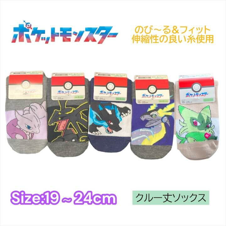 ポケモン大人用靴下19-24cmミ...