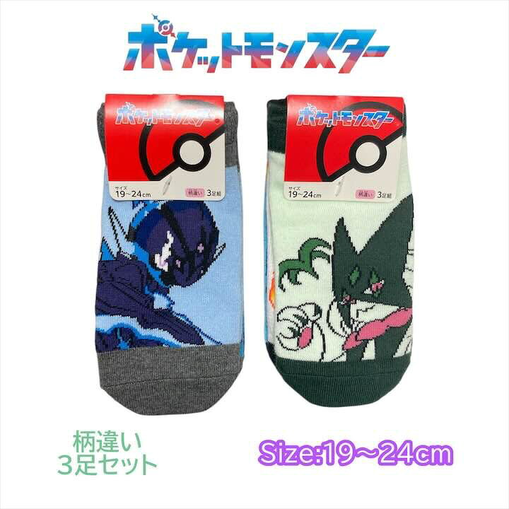 ポケモン大人靴下3足セット19-2...