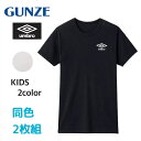 GUNZE tVc 2g WjA O[ Au {[CY N[lbN TVc UB1665G-85G 130cm-170cm Mtg v[g