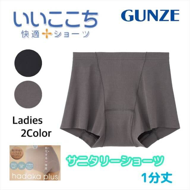 グンゼ サニタリーショーツ レディース 年間 パンツ ショーツ きりっぱなし カットオフ 生理 ブルーデイ GUNZE HV6062N M-L ギフト プレゼント