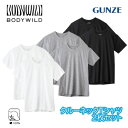 グンゼ ボディワイルド クルーネック Tシャツ 綿100% 丸首 2枚組 メンズ インナーシャツ 2P 定番 ベーシック 無地 2枚セット 下着 肌着 BODY...