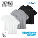 グンゼ ボディワイルド Vネック Tシャツ 綿100 V首 2枚組 メンズ 年間 ボディワイルド 2P 半袖 インナーシャツ 定番 ベーシック メンズ 無地 2枚セット 下着 肌着 BODY WILD GUNZE BW5015A M-LL ギフト プレゼント(4)