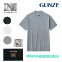 グンゼ Tシャツ 丸首 メンズ ジャケット対応 綿100% 半袖 襟高 コーディネート ビジカジ ボディワイルド BODYWILD 通年 GUNZE アウターTシャツ コットン BW5413B M-LL ギフト プレゼント