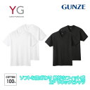 YG ワイジー VネックTシャツ 半袖V首 2枚組 グンゼ GUNZE | メンズ 紳士 男性 肌着 男性肌着 インナー インナーシャツ Vネック Vネックイン...
