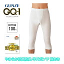 GQ-1 半ズボン下(前あき)2枚組 やわらかくて、肌にやさしい。グンゼ GUNZE メンズ gqa507g M-LL ギフト プレゼント