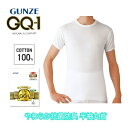 GQ-1 半袖丸首 2枚組 インナー やわらかくて、肌にやさしい。グンゼ GUNZE メンズ gqa514g M-LL ギフト プレゼント